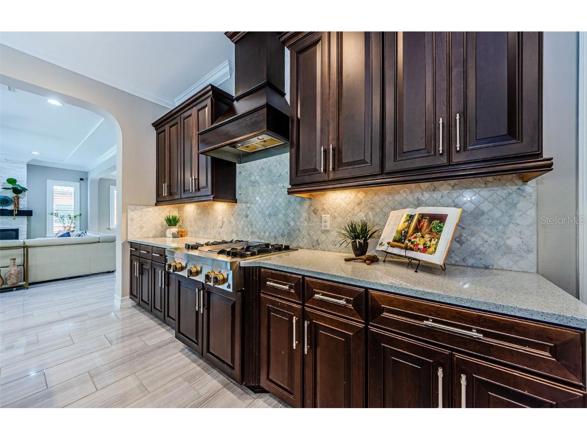 29038 Picana Lane Wesley Chapel FL 33543 TB8443537 image11