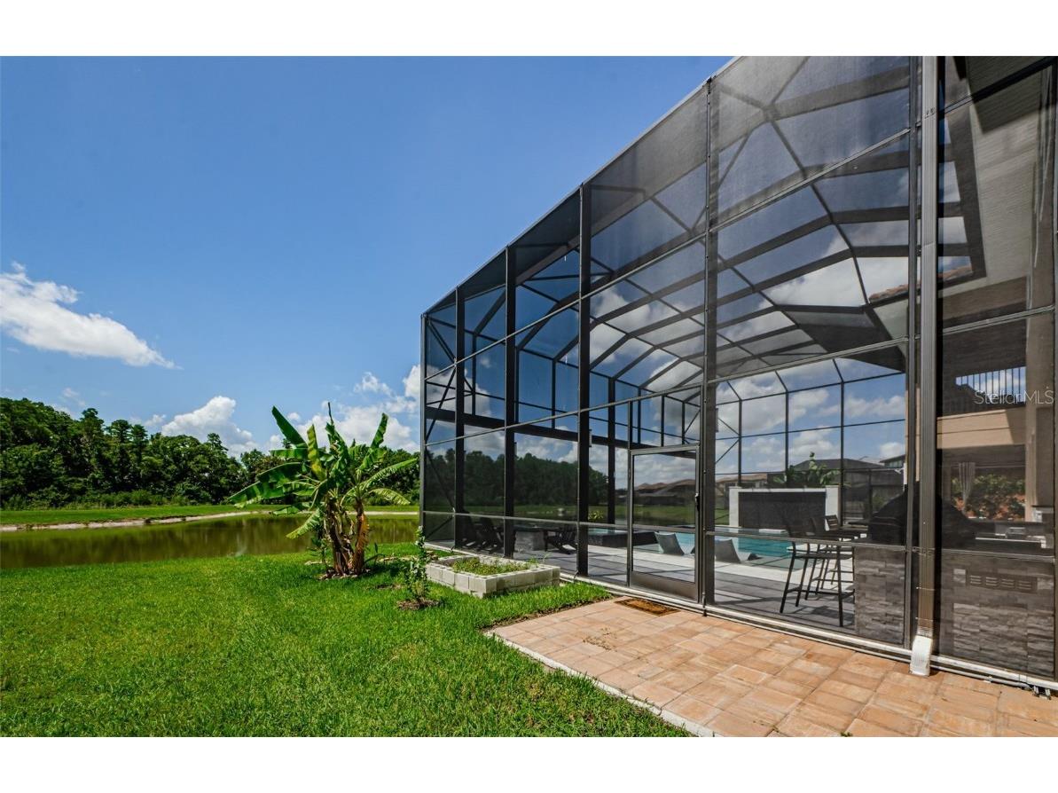 29038 Picana Lane Wesley Chapel FL 33543 TB8443537 image39