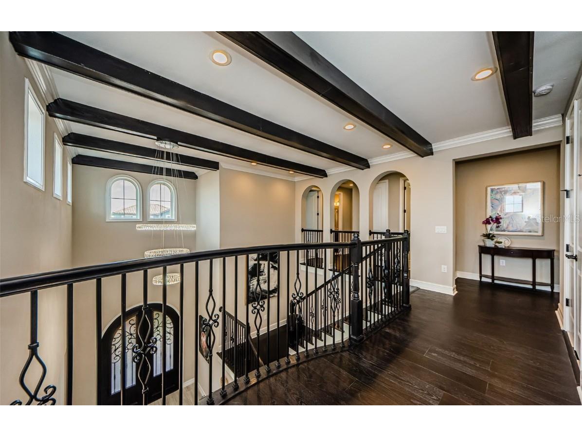 29038 Picana Lane Wesley Chapel FL 33543 TB8443537 image42