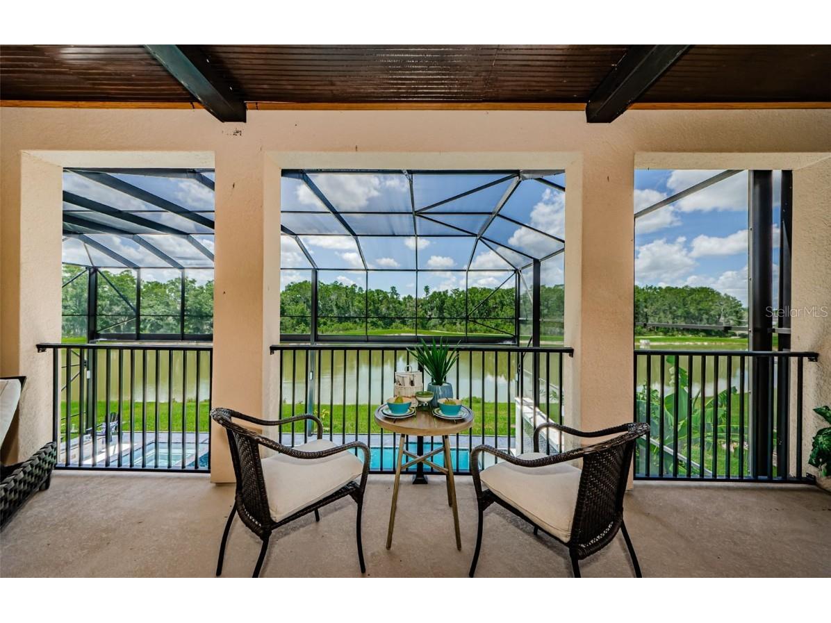 29038 Picana Lane Wesley Chapel FL 33543 TB8443537 image46