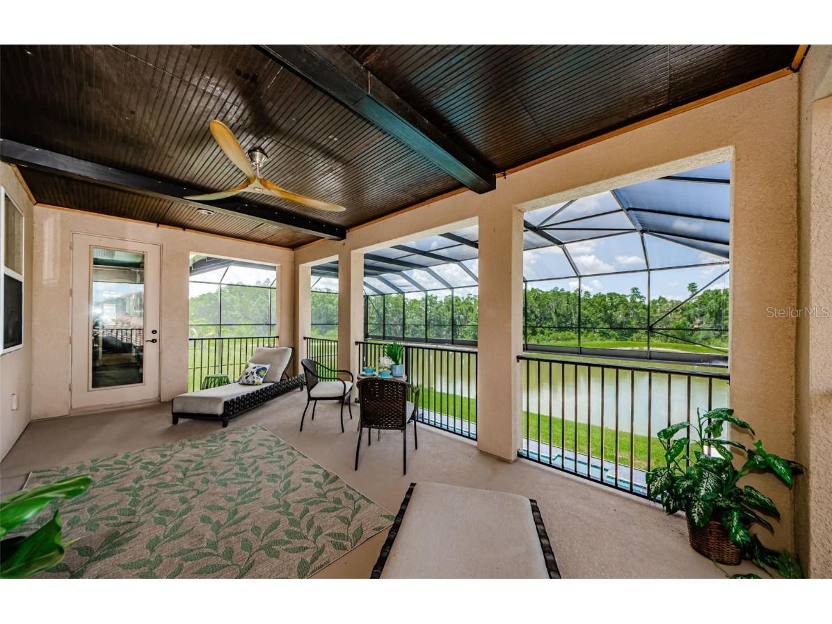 29038 Picana Lane Wesley Chapel FL 33543 TB8443537 image47