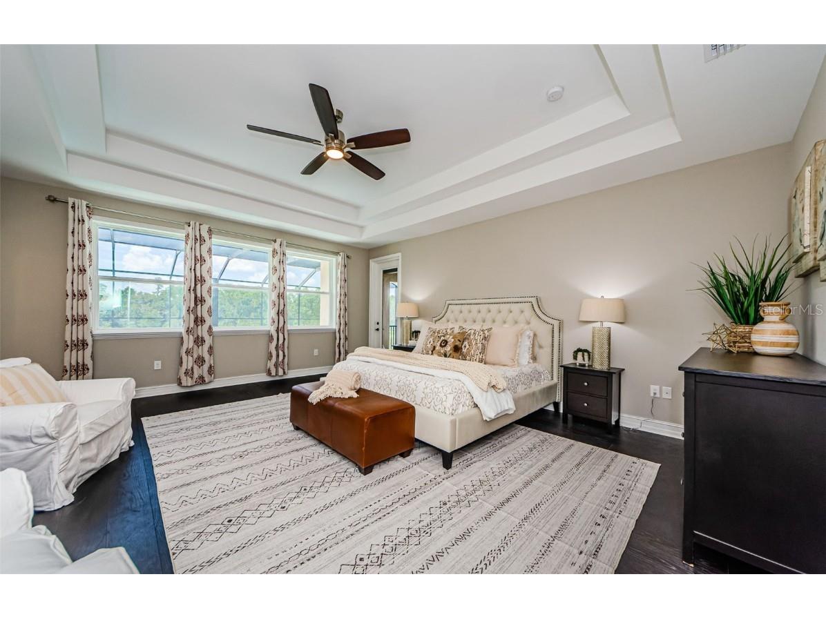 29038 Picana Lane Wesley Chapel FL 33543 TB8443537 image50