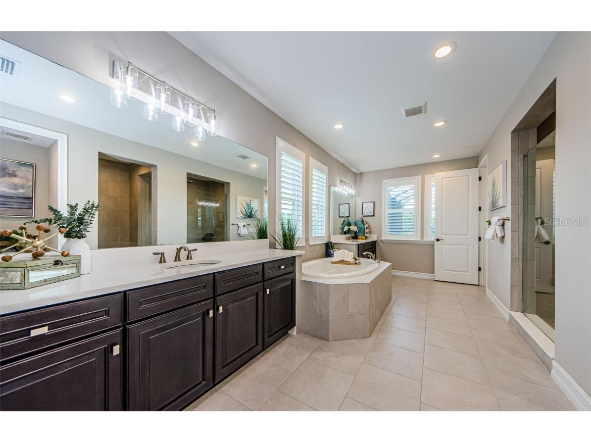 29038 Picana Lane Wesley Chapel FL 33543 TB8443537 image52