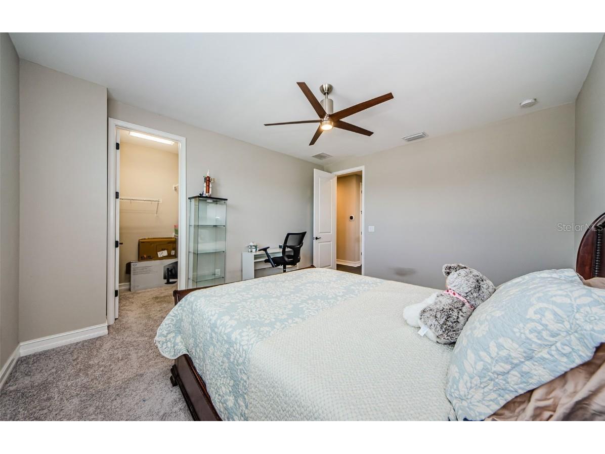 29038 Picana Lane Wesley Chapel FL 33543 TB8443537 image57