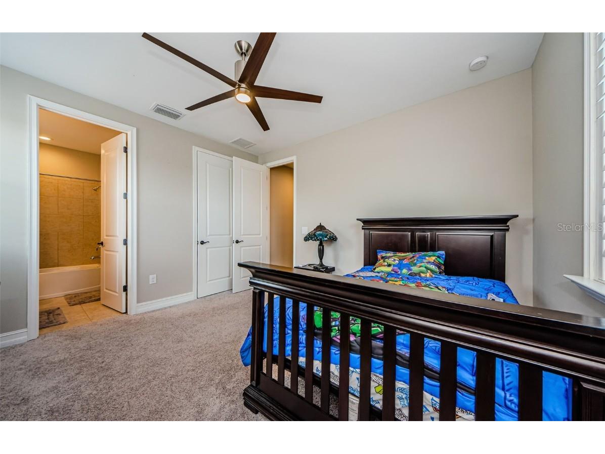 29038 Picana Lane Wesley Chapel FL 33543 TB8443537 image59