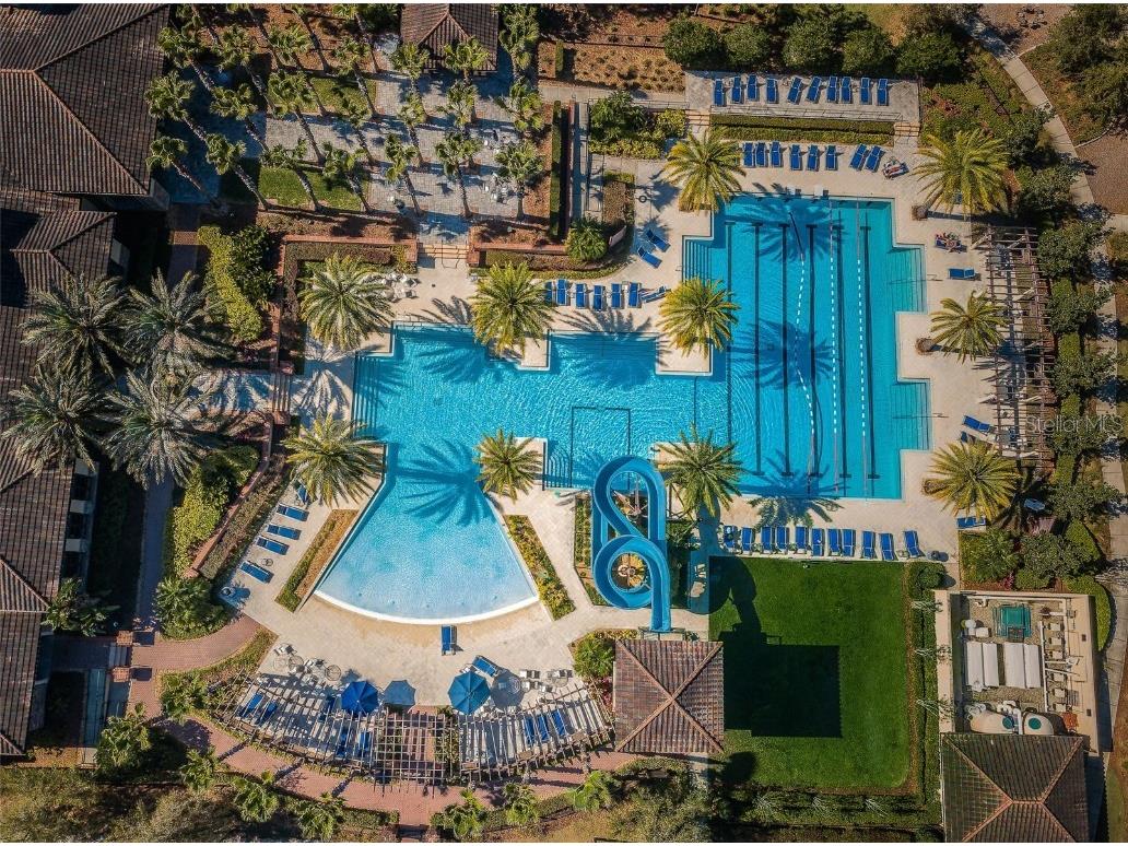 29038 Picana Lane Wesley Chapel FL 33543 TB8443537 image60