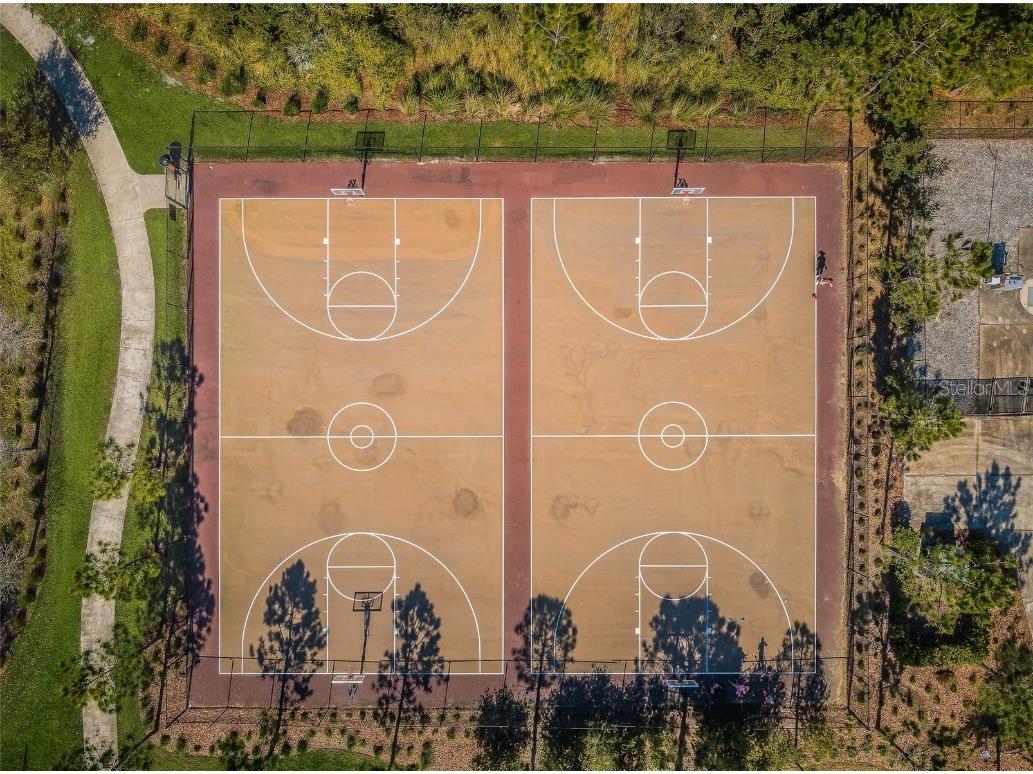 29038 Picana Lane Wesley Chapel FL 33543 TB8443537 image62