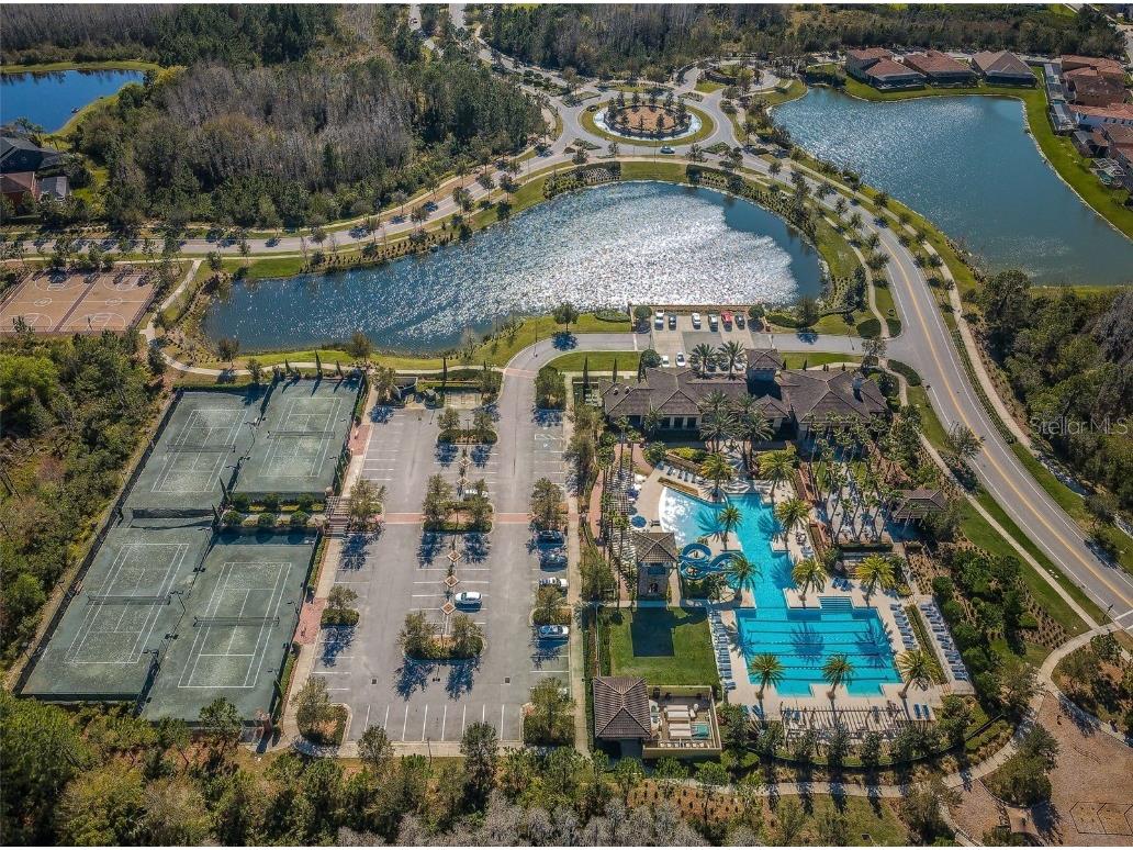 29038 Picana Lane Wesley Chapel FL 33543 TB8443537 image63