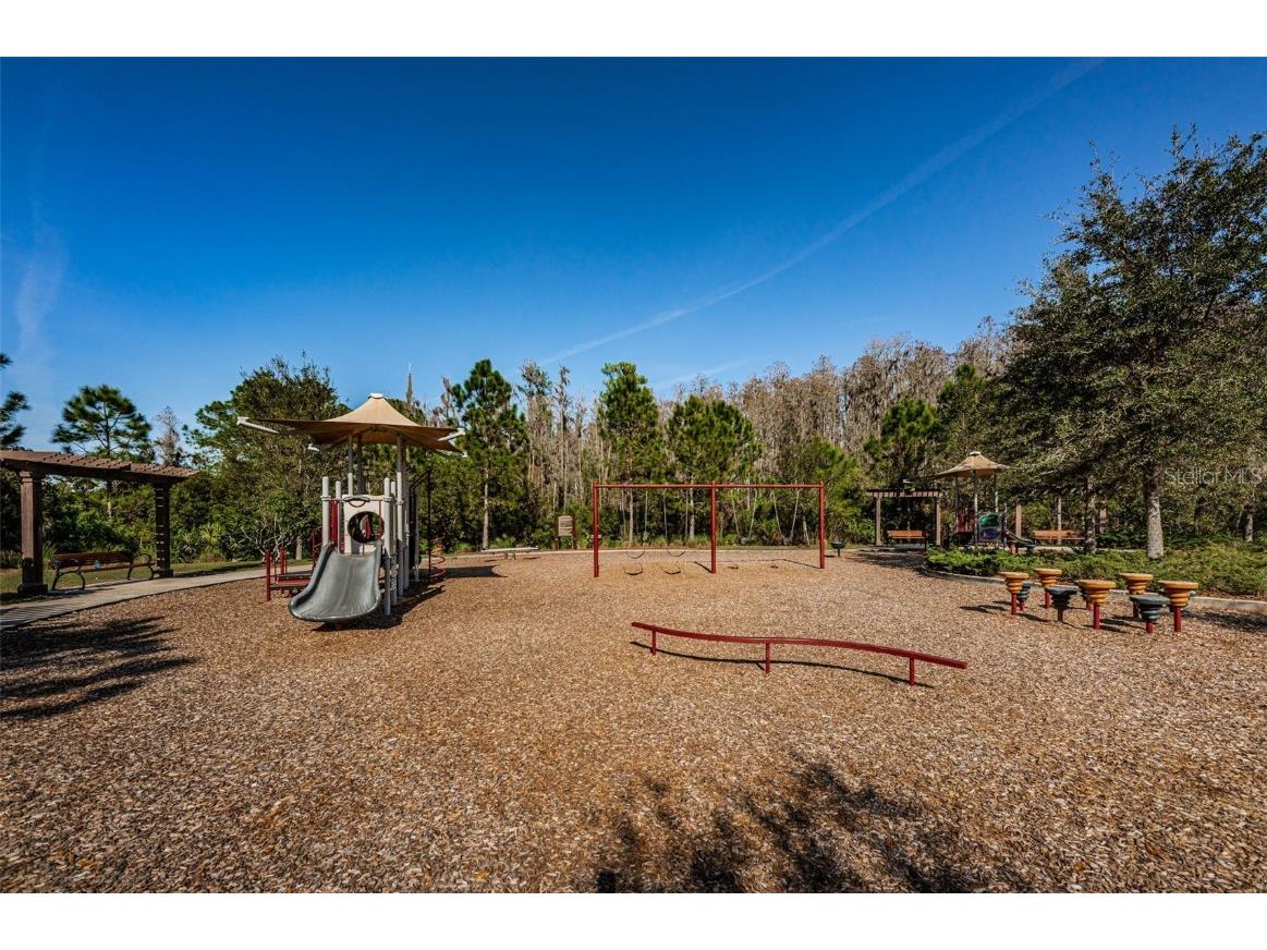 29038 Picana Lane Wesley Chapel FL 33543 TB8443537 image64