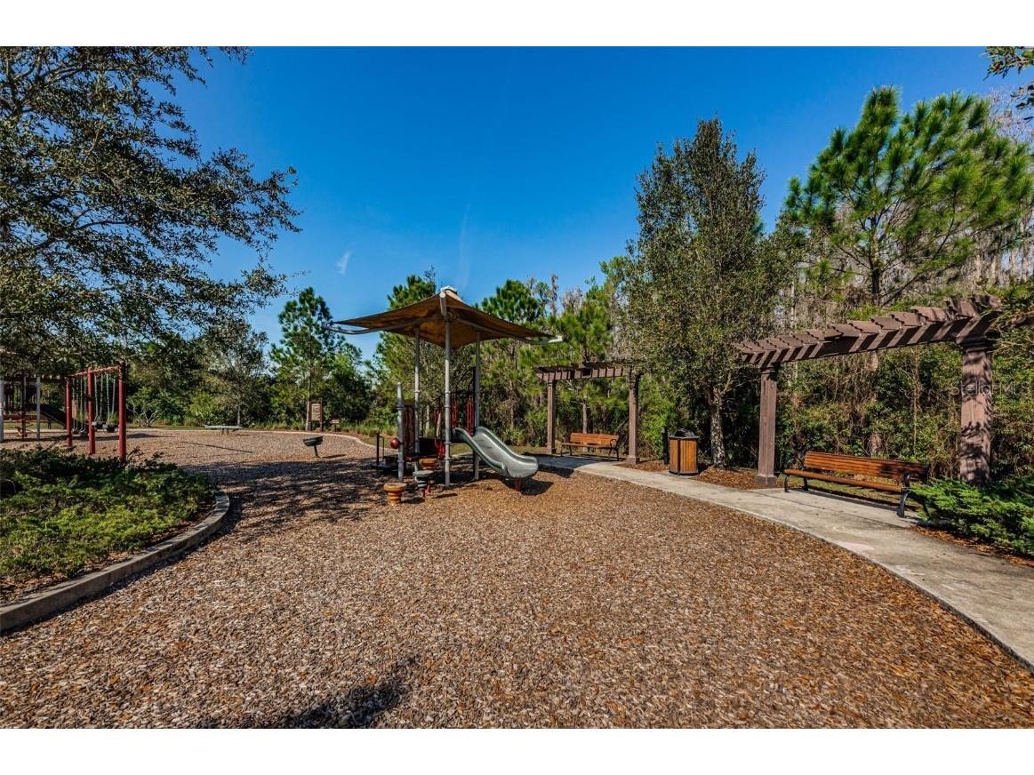 29038 Picana Lane Wesley Chapel FL 33543 TB8443537 image65