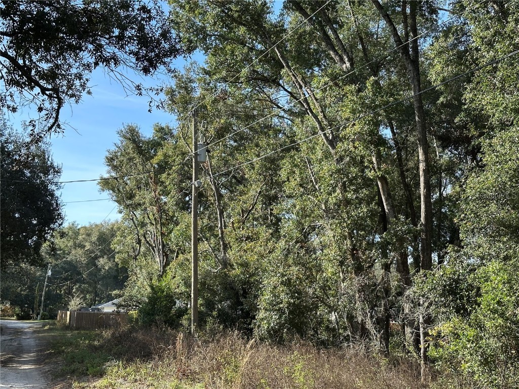 2904 Eisenhower Street W Inverness FL 34453 TB8329194 image1
