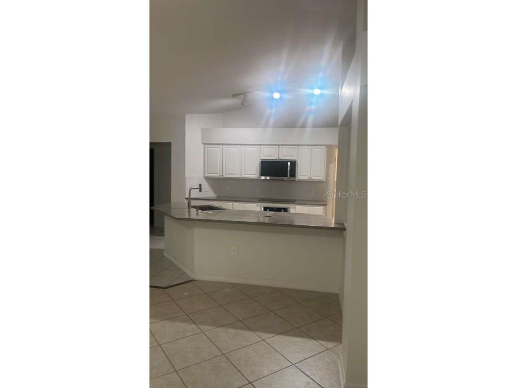 2904 Evans Way Kissimmee FL 34758 S5138921 image7