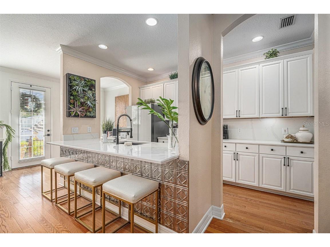 2904 Hansen Manor Lane Tampa FL 33611 TB8445444 image10