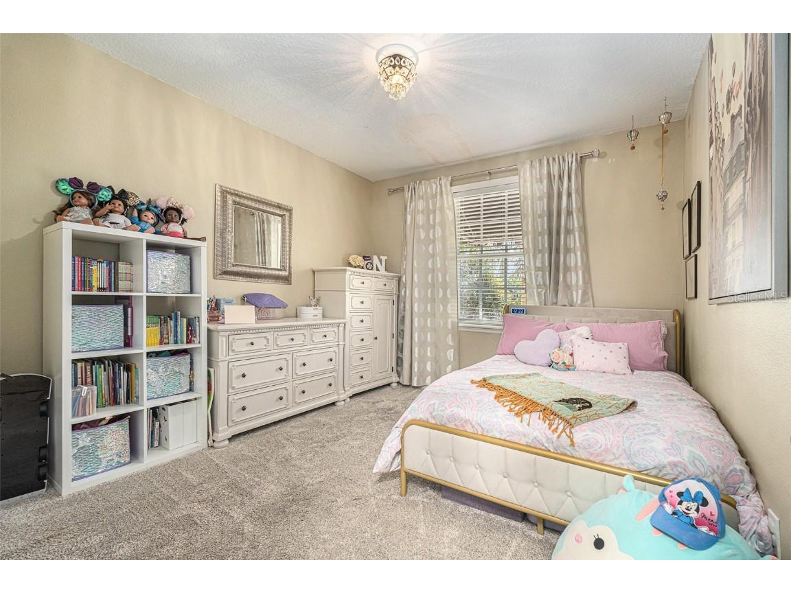 2904 Hansen Manor Lane Tampa FL 33611 TB8445444 image22