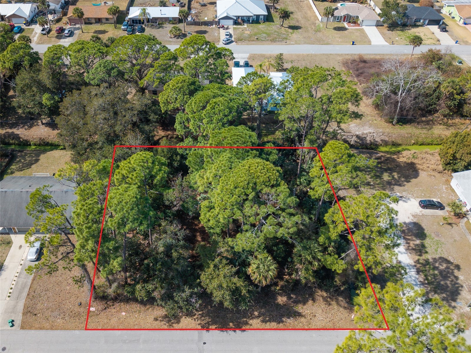 2904 India Palm Drive Edgewater FL 32141 V4947500 image1