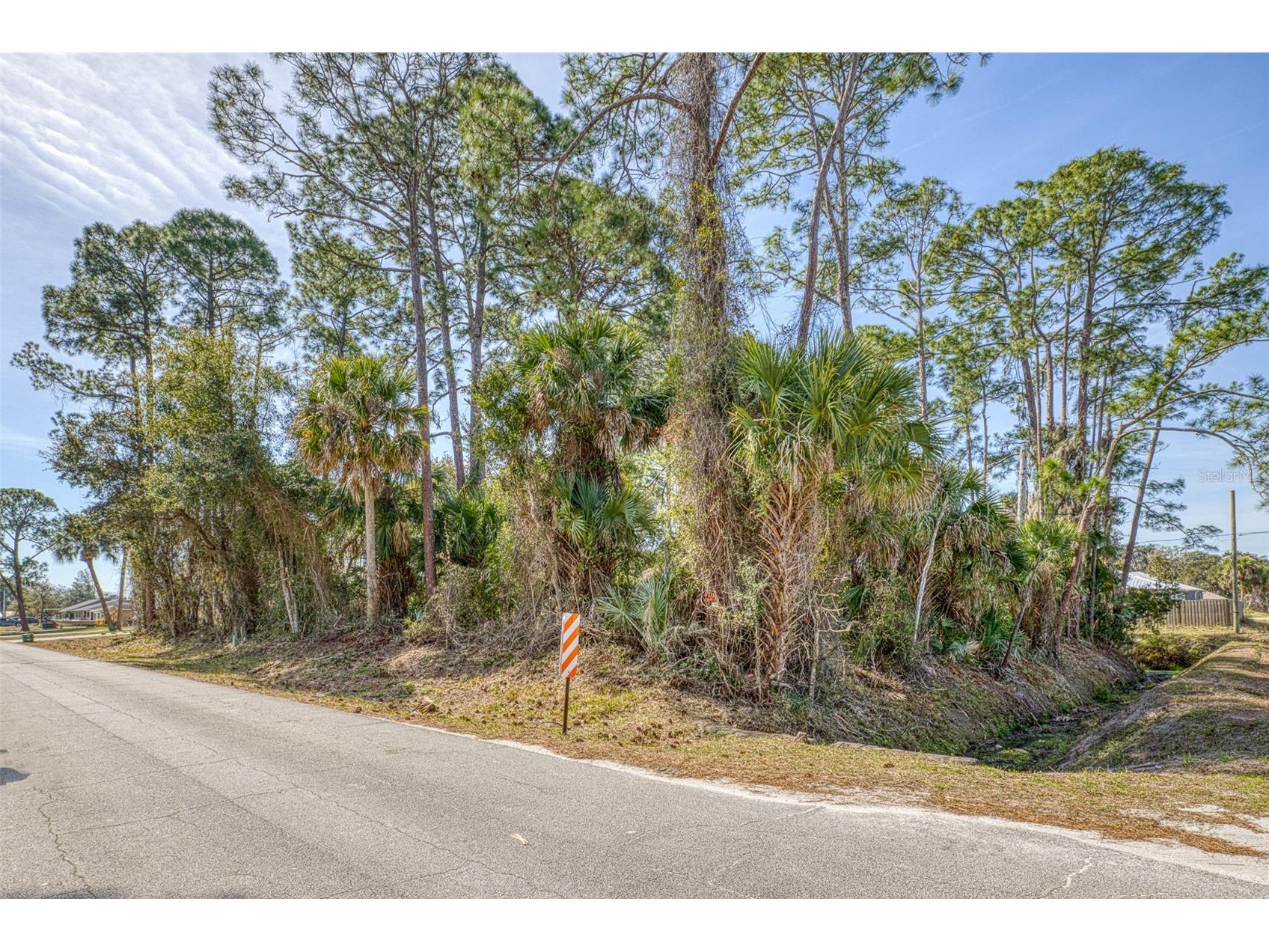 2904 India Palm Drive Edgewater FL 32141 V4947500 image4