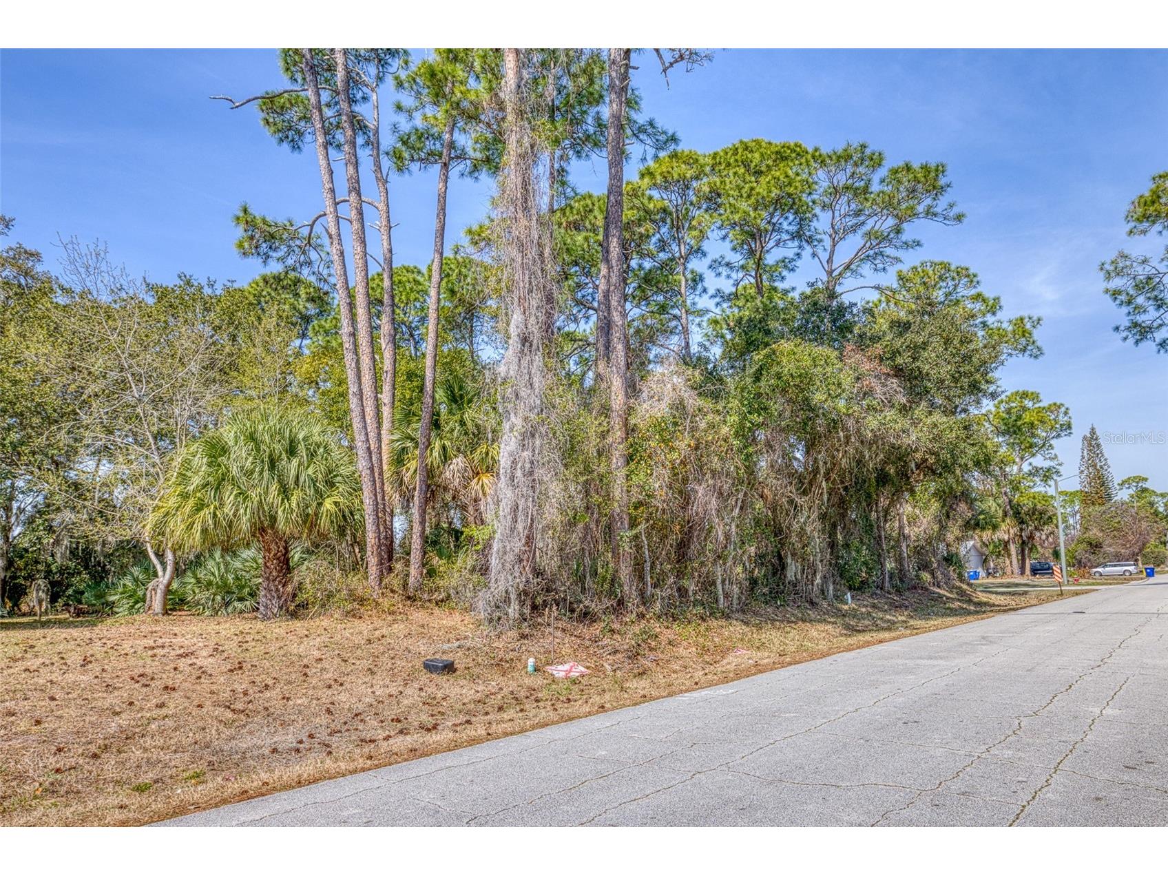 2904 India Palm Drive Edgewater FL 32141 V4947500 image5