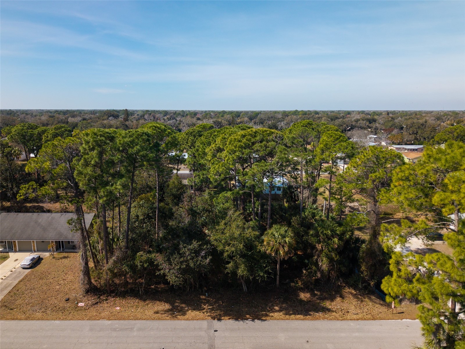 2904 India Palm Drive Edgewater FL 32141 V4947500 image6