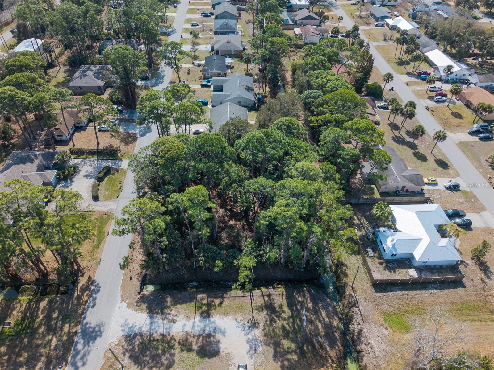 2904 India Palm Drive Edgewater FL 32141 V4947500 image7
