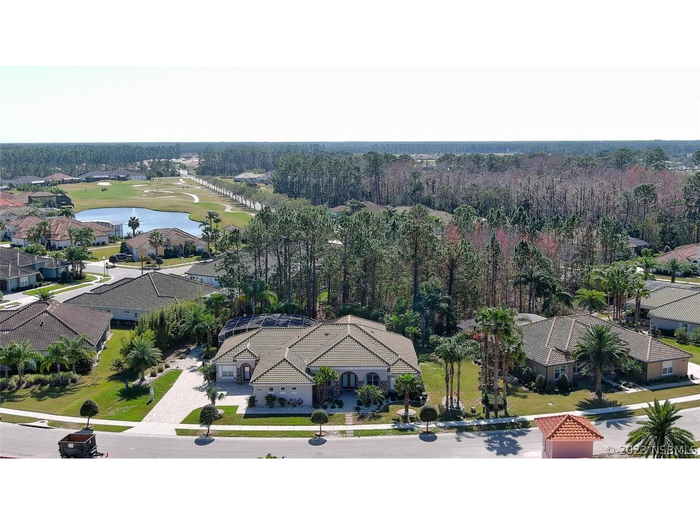 2904 Palma Lane New Smyrna Beach FL 32168 NS1073581 image1
