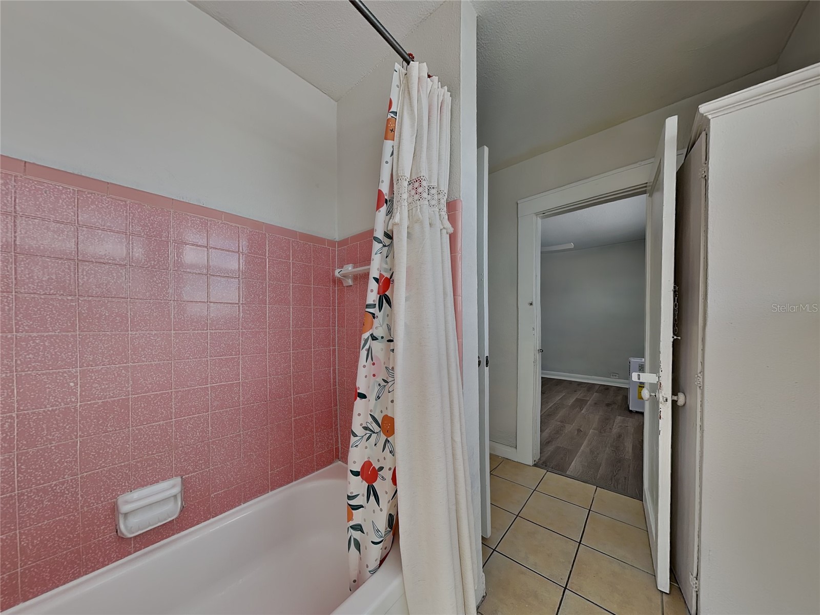 2904 W Chestnut Street #2 Tampa FL 33607 O6419628 image12
