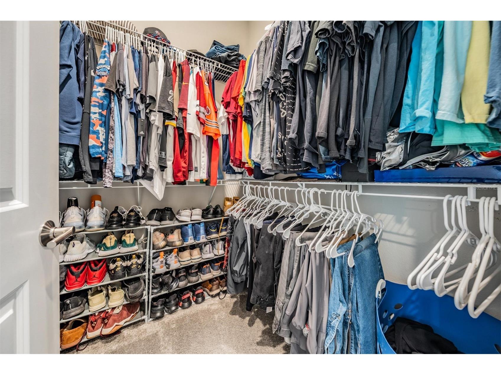 29043 Picana Lane Wesley Chapel FL 33543 O6375316 image21