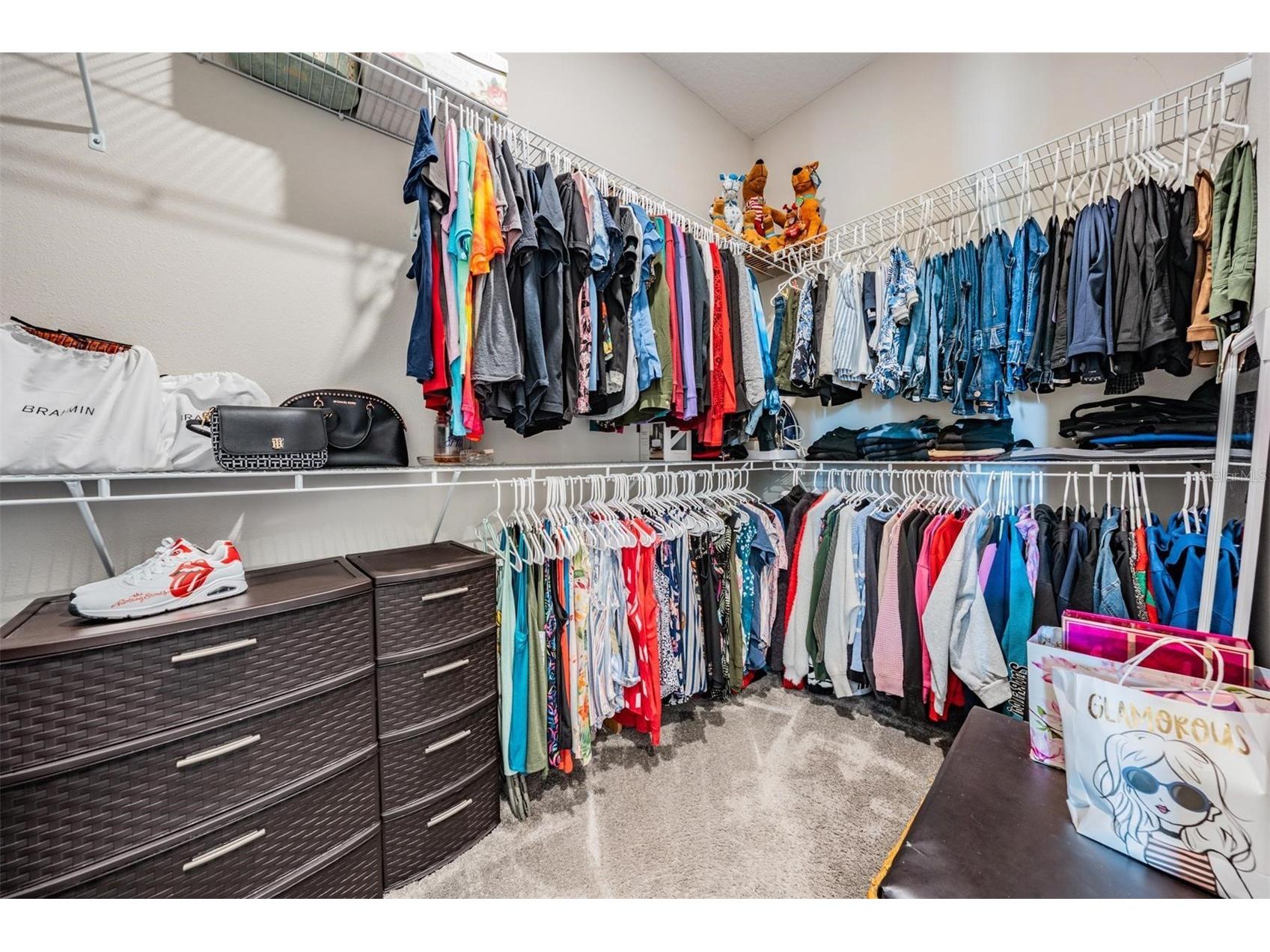 29043 Picana Lane Wesley Chapel FL 33543 O6375316 image22