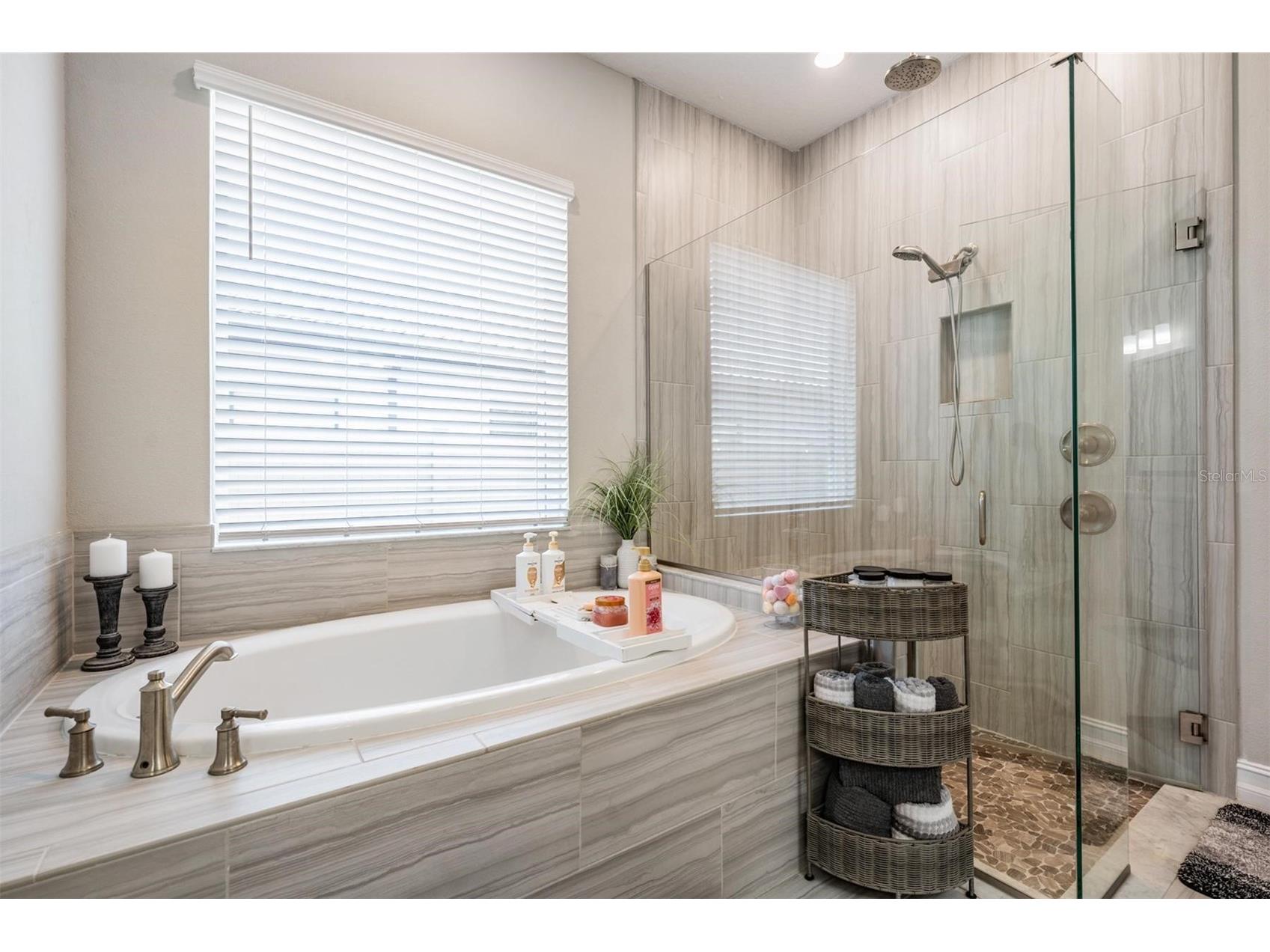 29043 Picana Lane Wesley Chapel FL 33543 O6375316 image23
