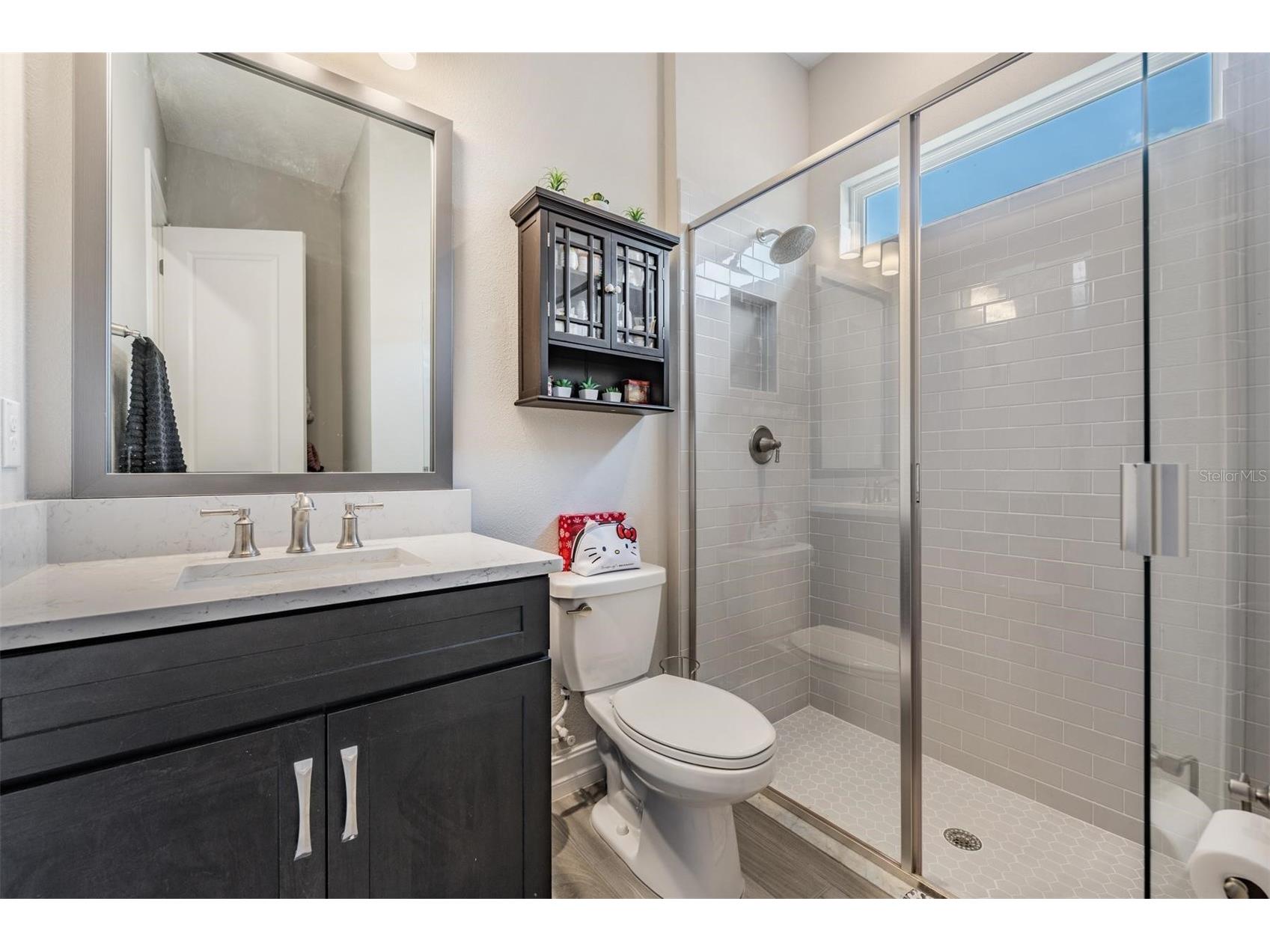 29043 Picana Lane Wesley Chapel FL 33543 O6375316 image24
