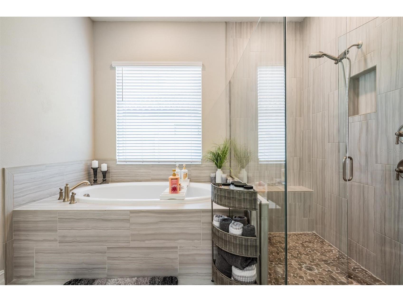 29043 Picana Lane Wesley Chapel FL 33543 O6375316 image25