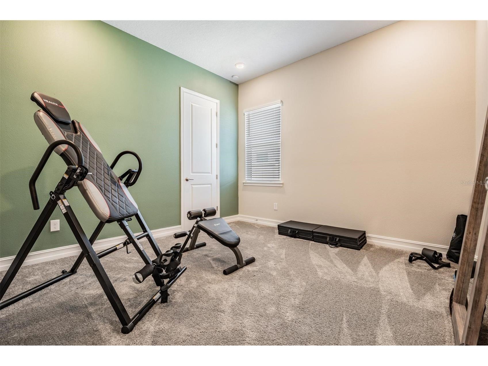 29043 Picana Lane Wesley Chapel FL 33543 O6375316 image31