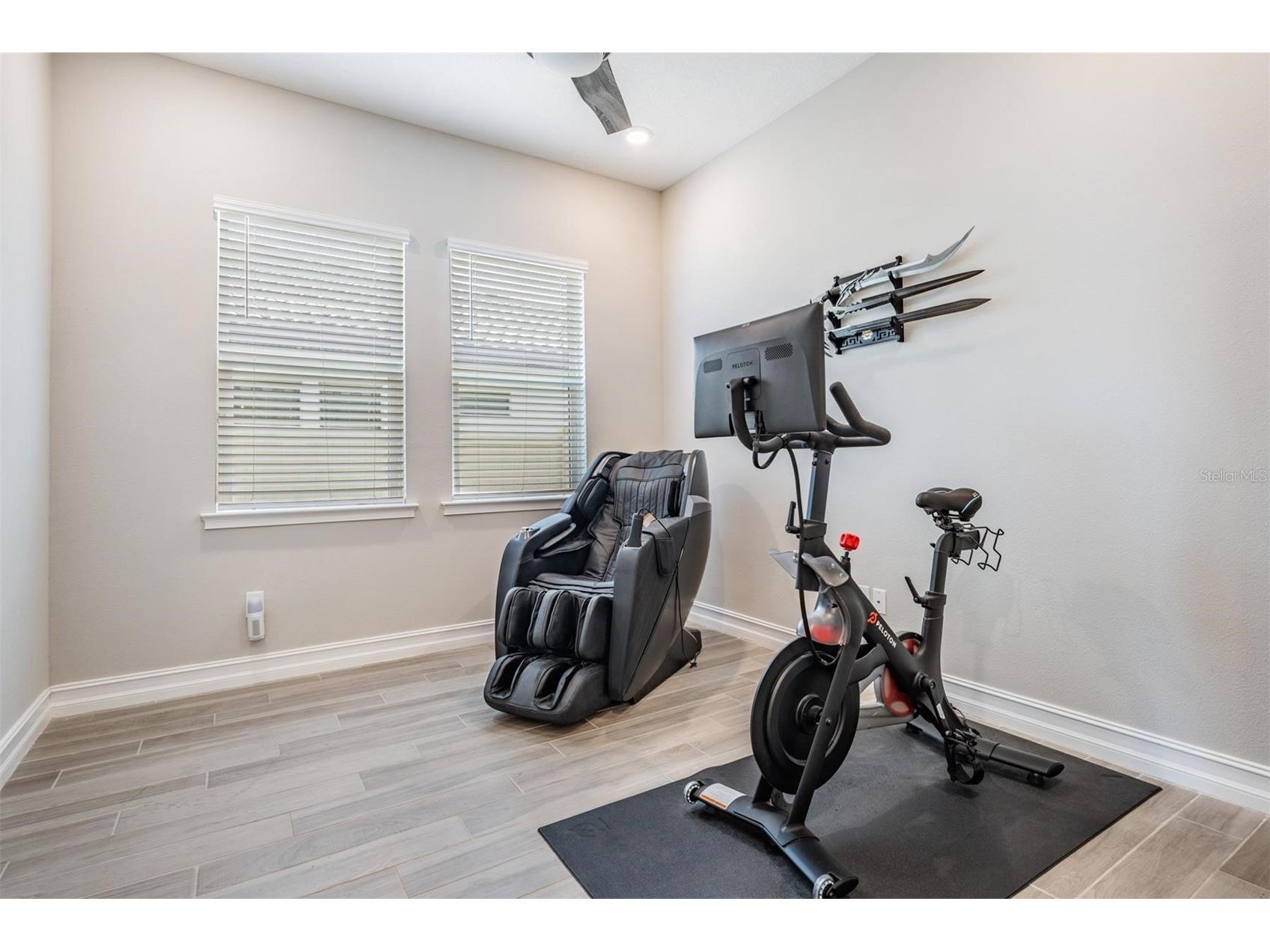 29043 Picana Lane Wesley Chapel FL 33543 O6375316 image40