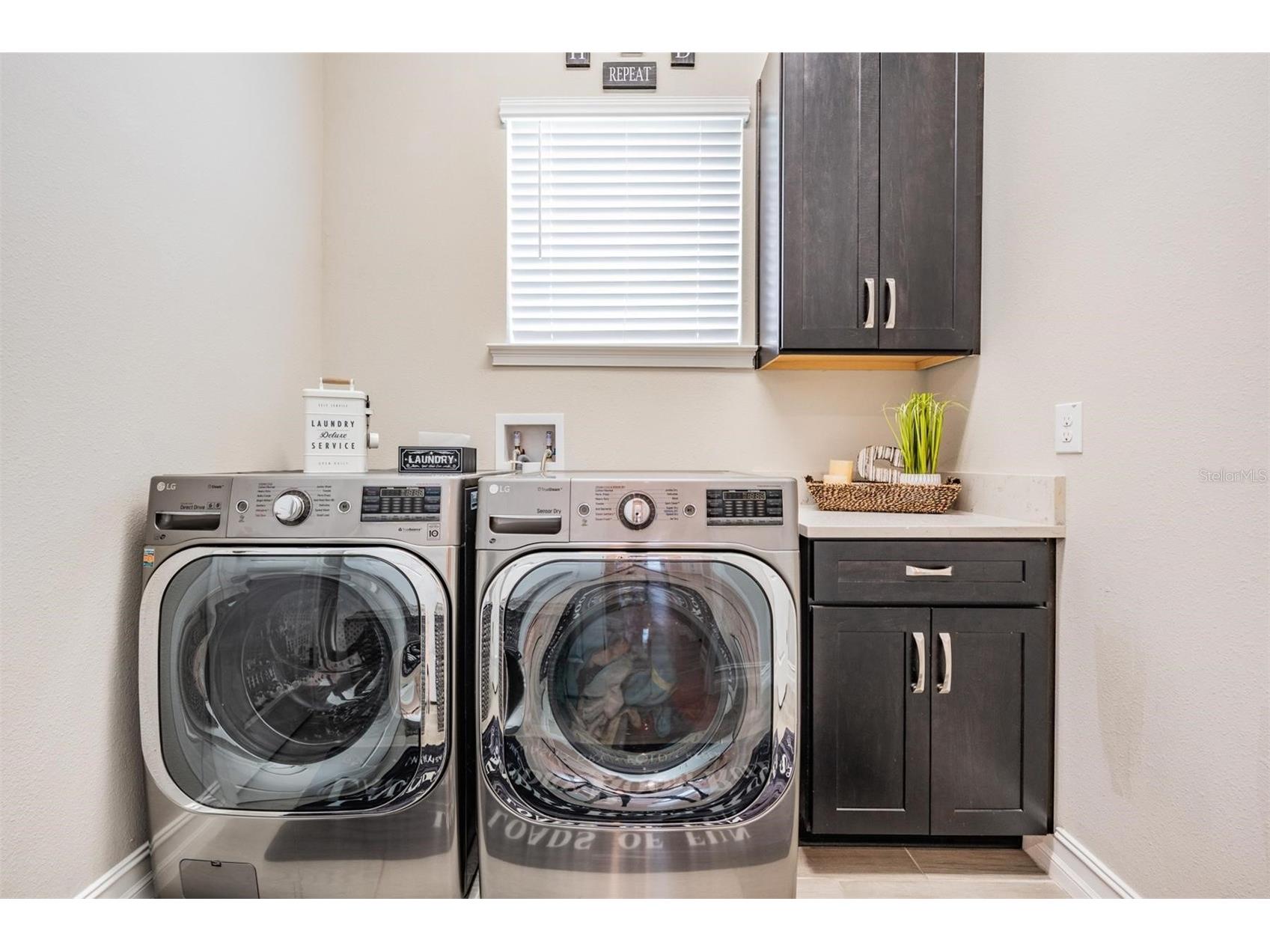 29043 Picana Lane Wesley Chapel FL 33543 O6375316 image41