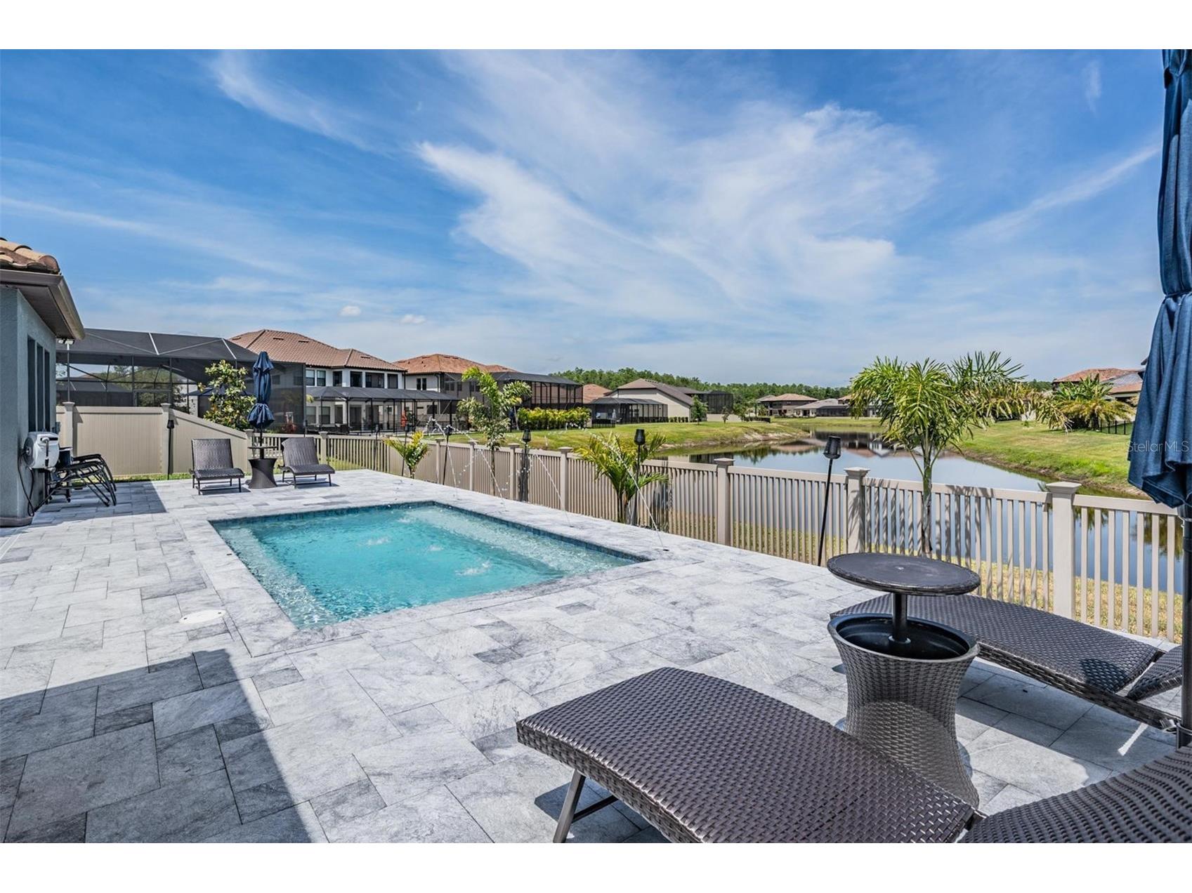 29043 Picana Lane Wesley Chapel FL 33543 O6375316 image48