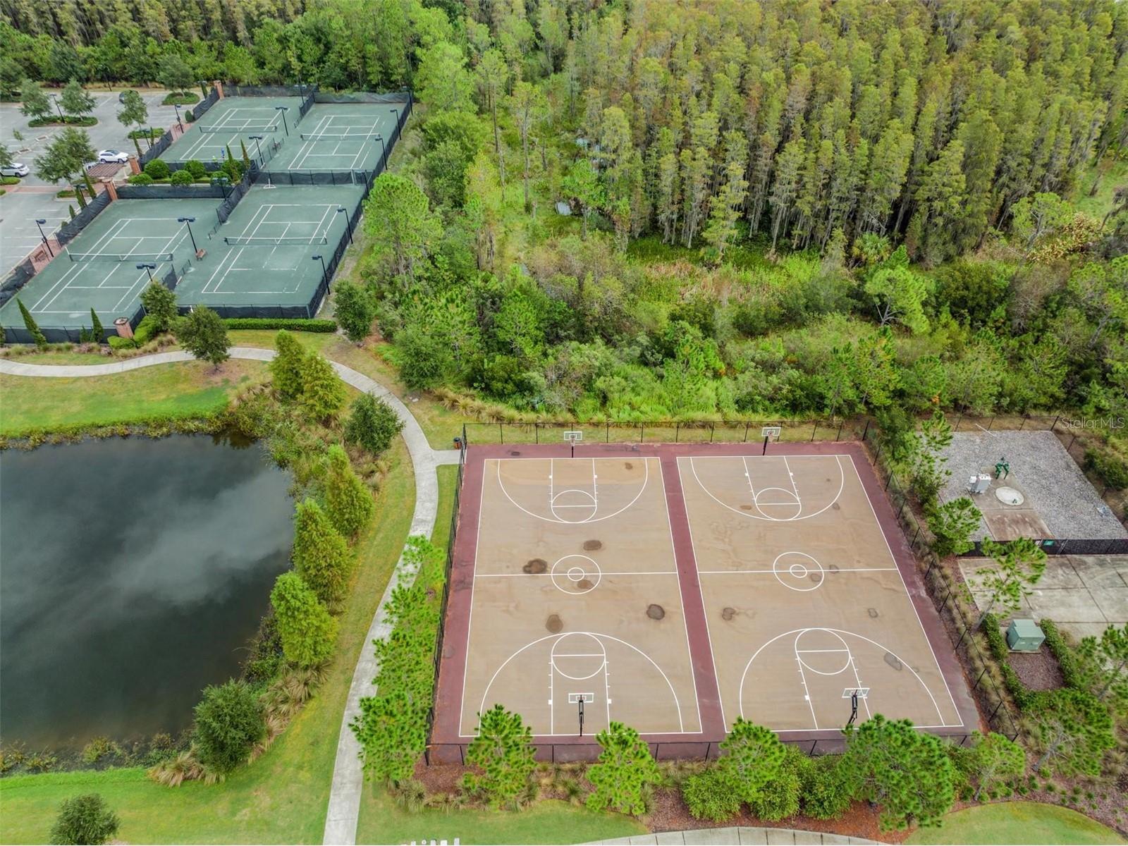 29043 Picana Lane Wesley Chapel FL 33543 O6375316 image57