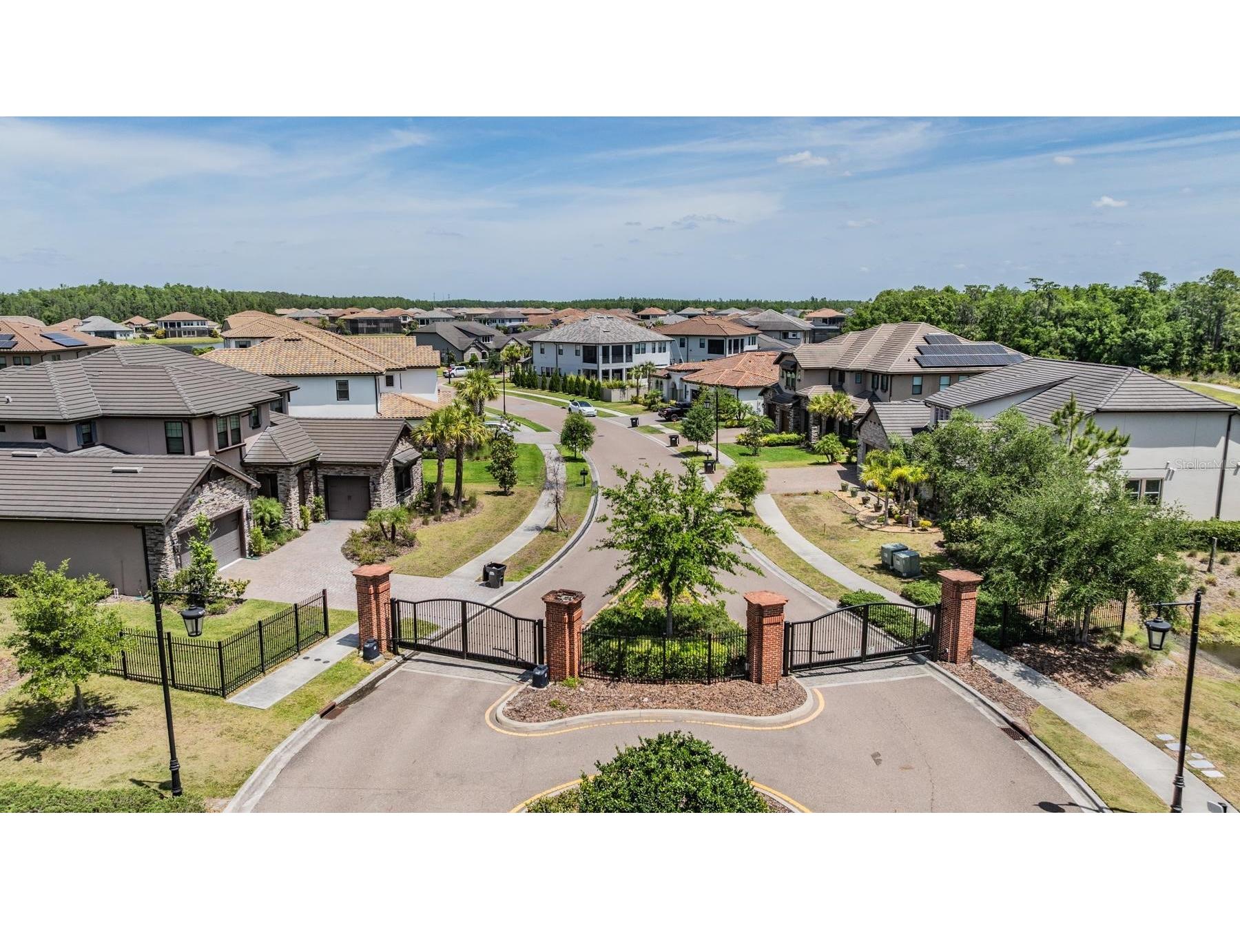 29043 Picana Lane Wesley Chapel FL 33543 O6375316 image59