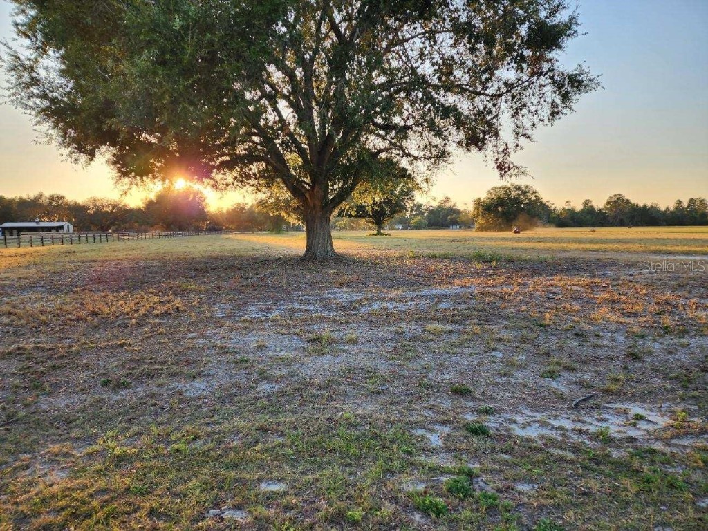 29045 Can Do Lane Tavares FL 32778 A4582197 image1