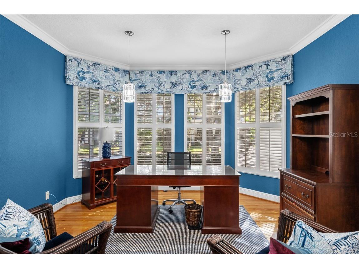 2905 Bayshore Vista Drive Tampa FL 33611 TB8447801 image13