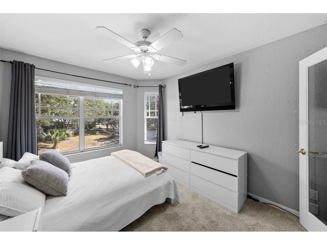 2905 Bayshore Vista Drive Tampa FL 33611 TB8447801 image22