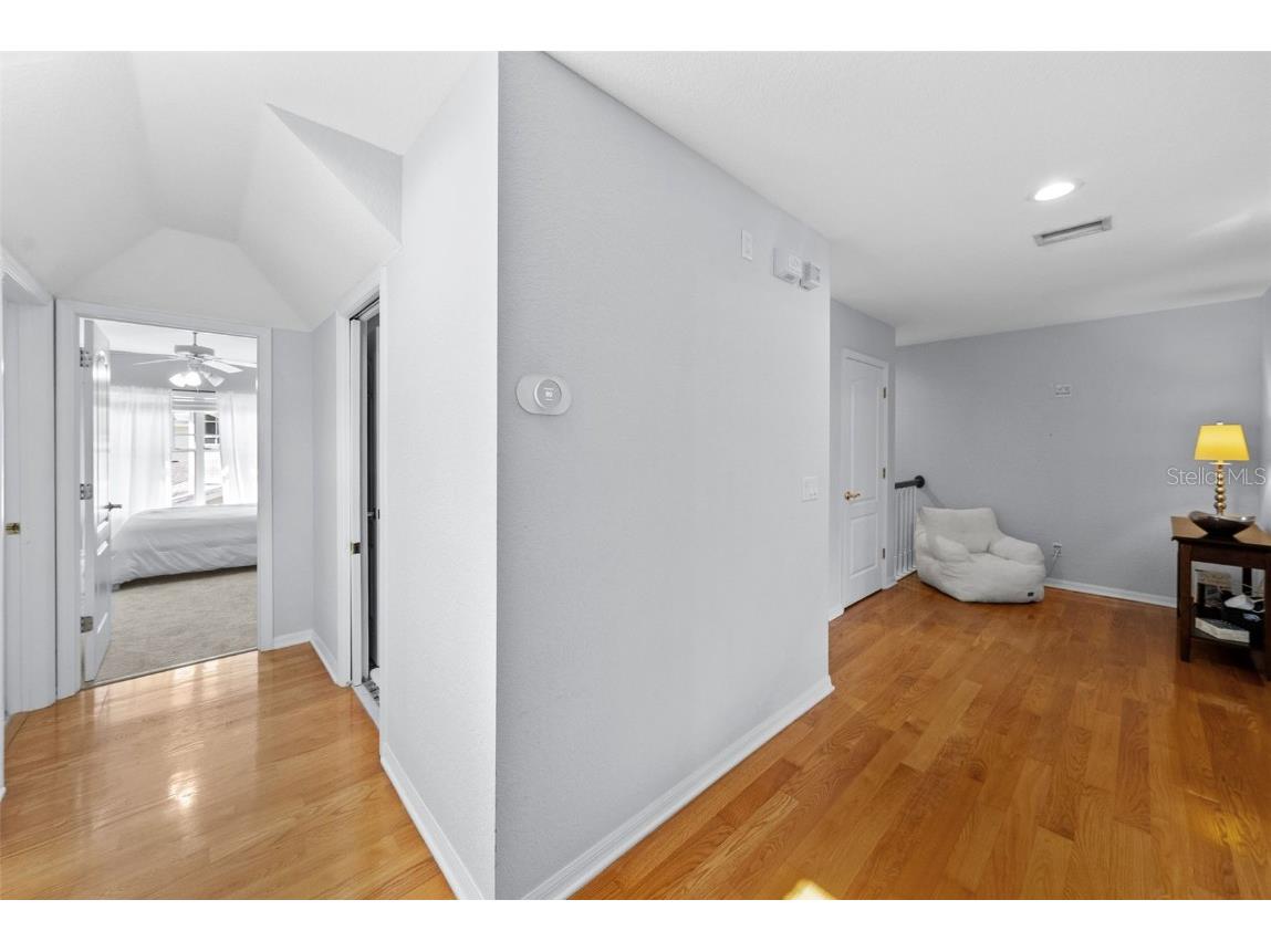 2905 Bayshore Vista Drive Tampa FL 33611 TB8447801 image23