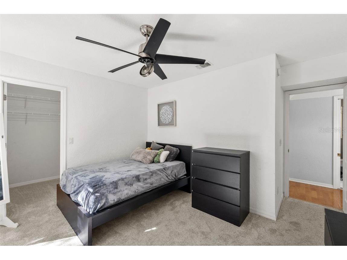 2905 Bayshore Vista Drive Tampa FL 33611 TB8447801 image25