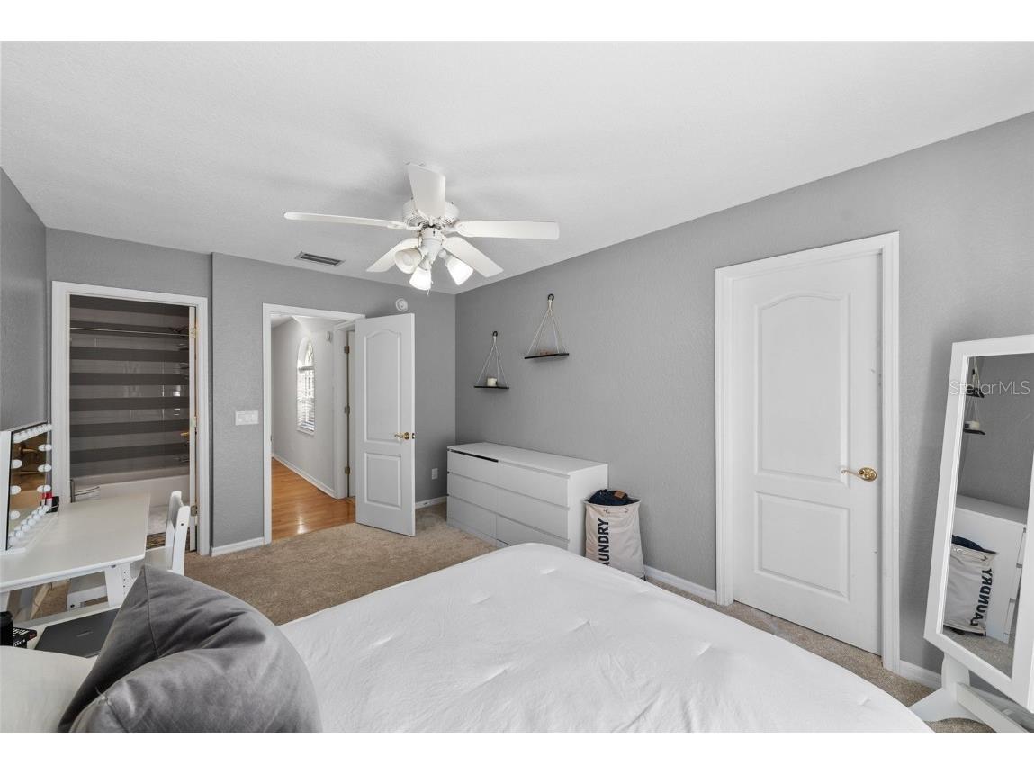 2905 Bayshore Vista Drive Tampa FL 33611 TB8447801 image27