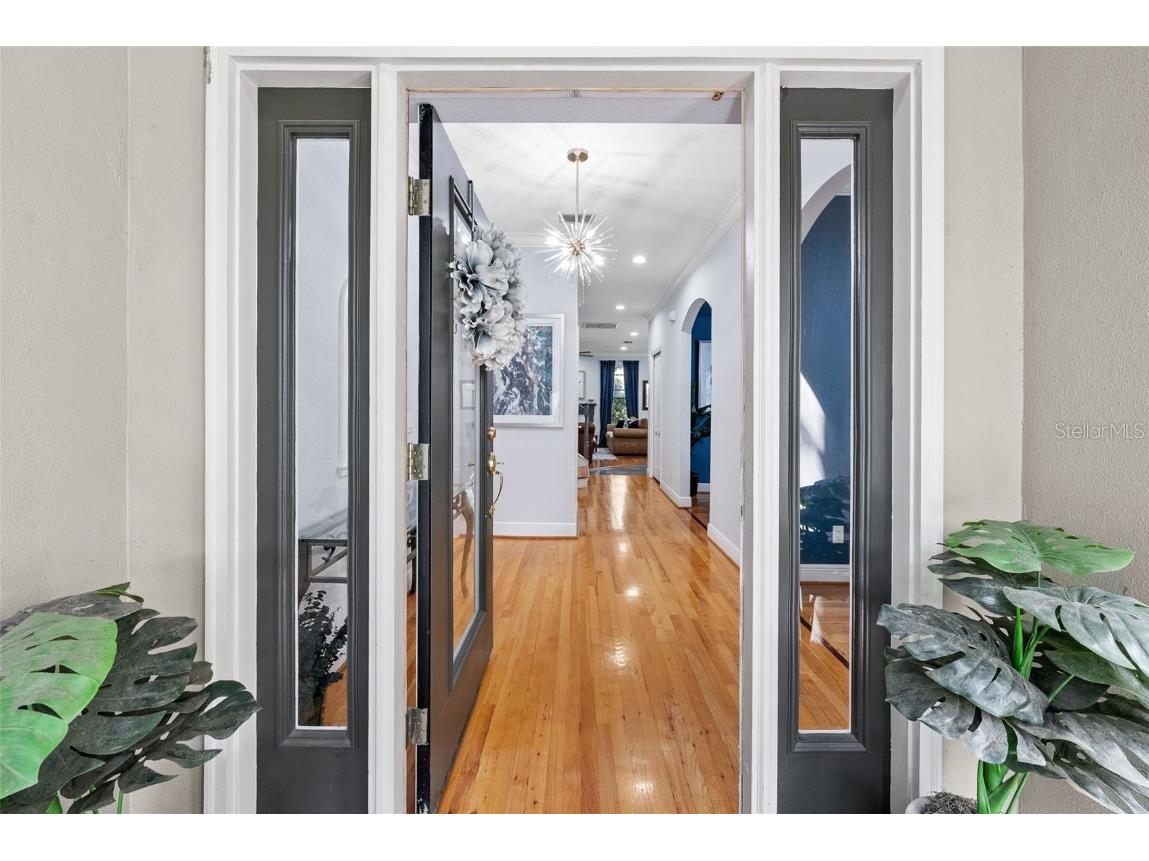 2905 Bayshore Vista Drive Tampa FL 33611 TB8447801 image3