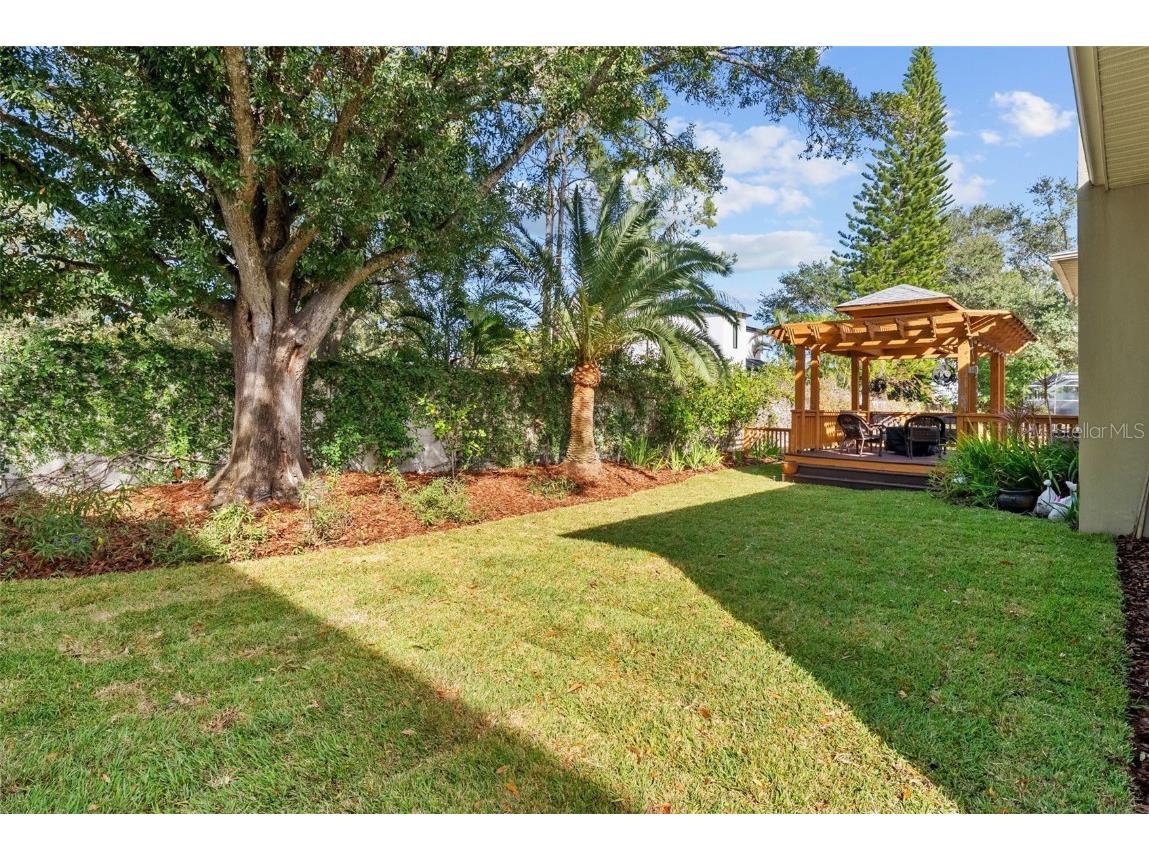 2905 Bayshore Vista Drive Tampa FL 33611 TB8447801 image32