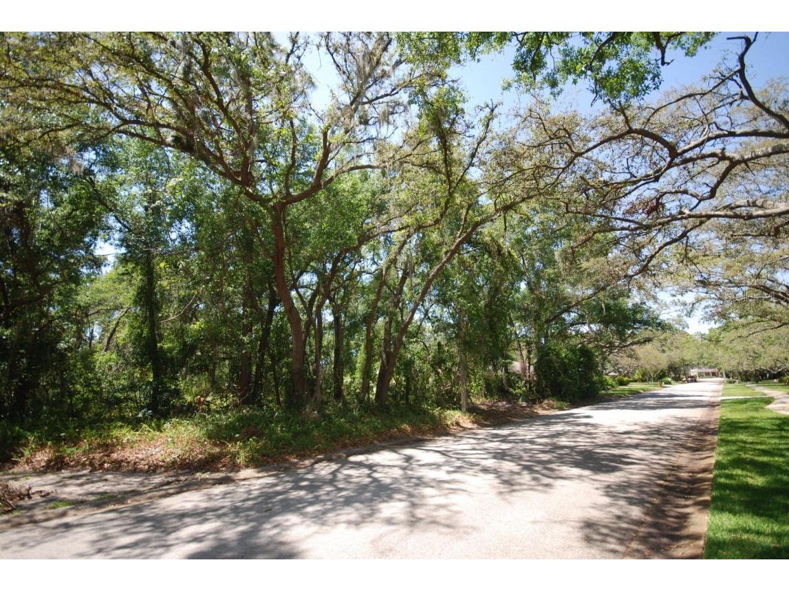 2905 Chelsea Woods Drive Valrico FL 33596 TB8379233 image1