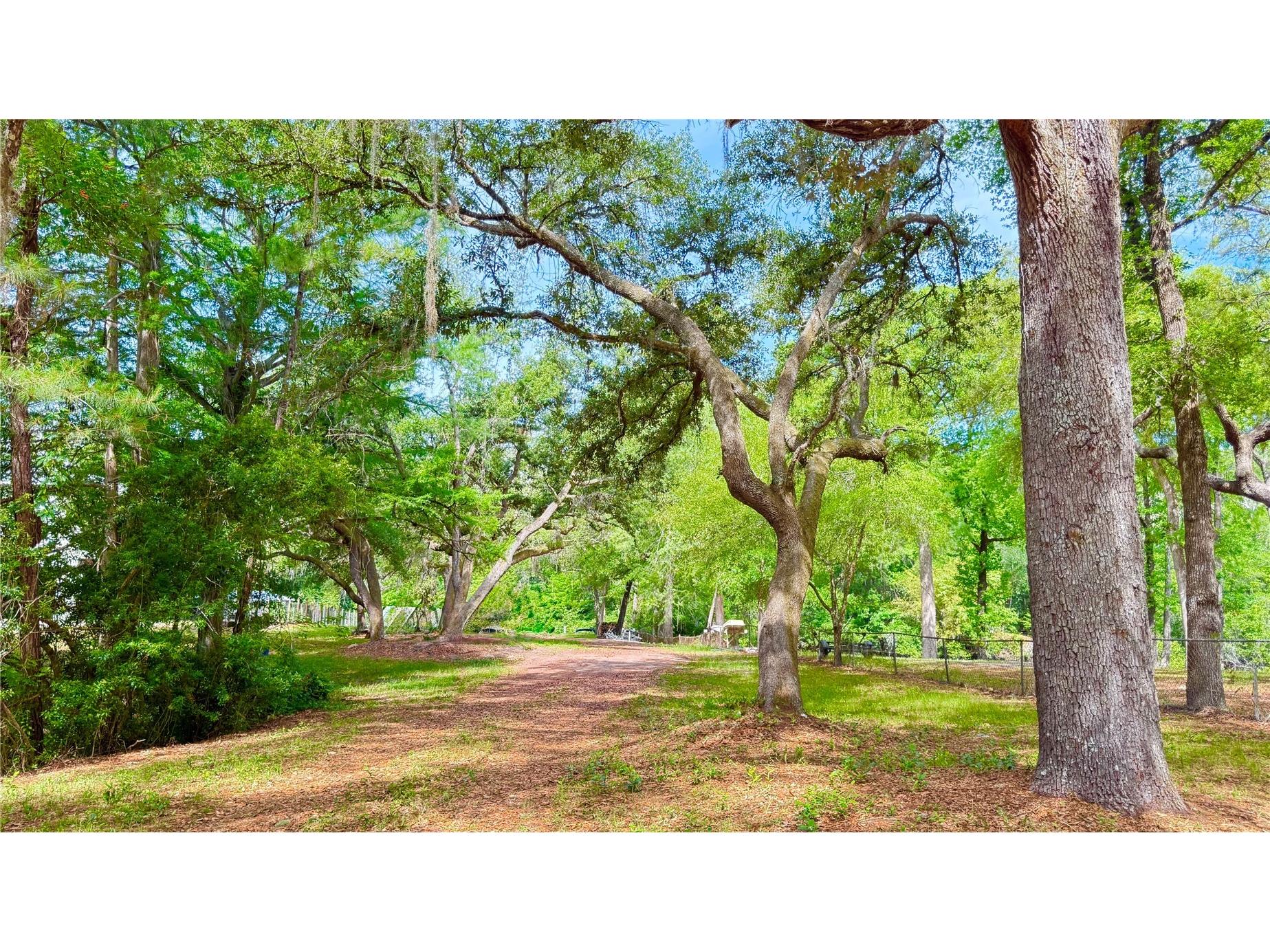 2905 Creek Street Middleburg FL 32068 - Black Creek FC318365 image1