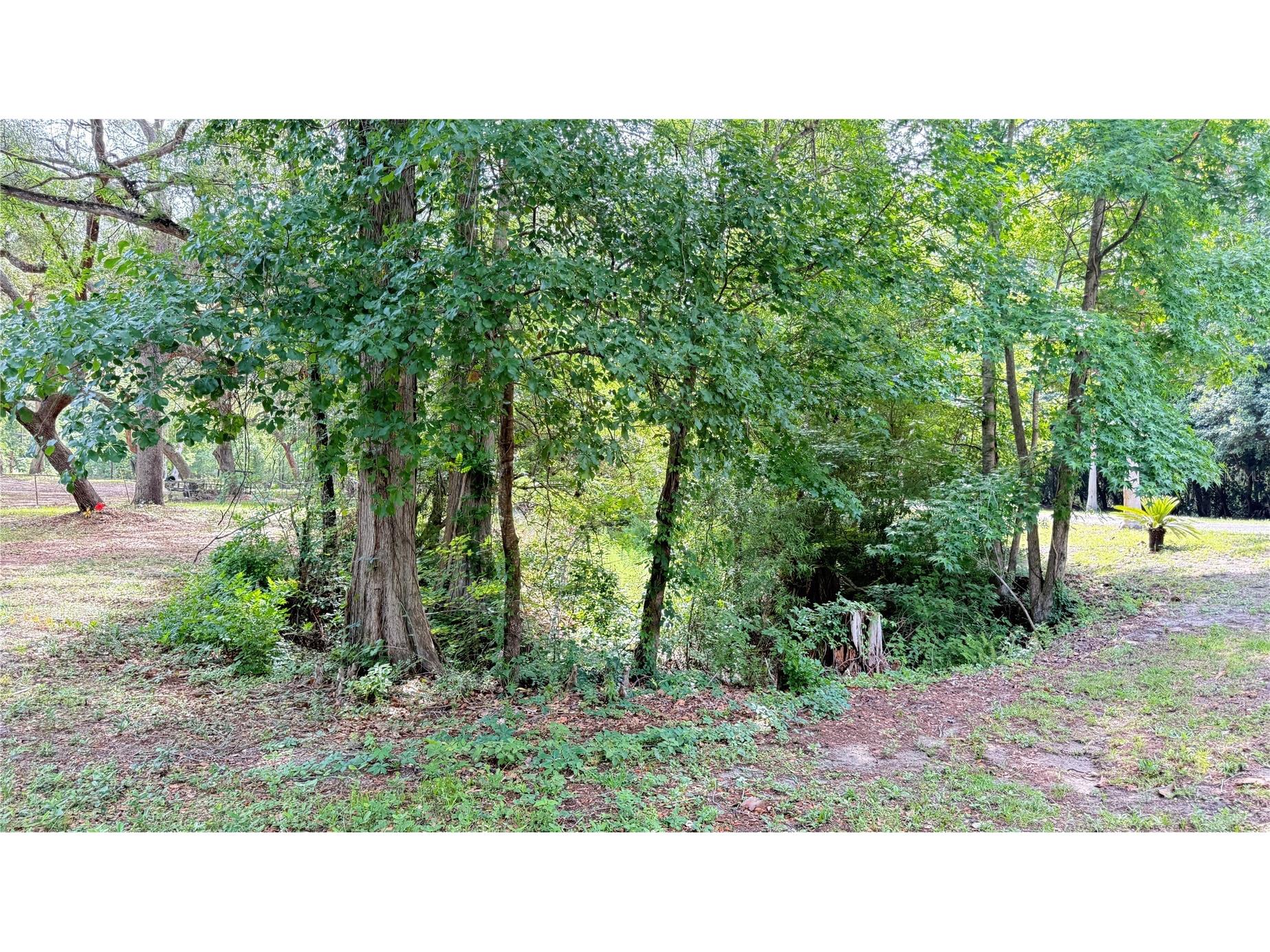 2905 Creek Street Middleburg FL 32068 - Black Creek FC318365 image10