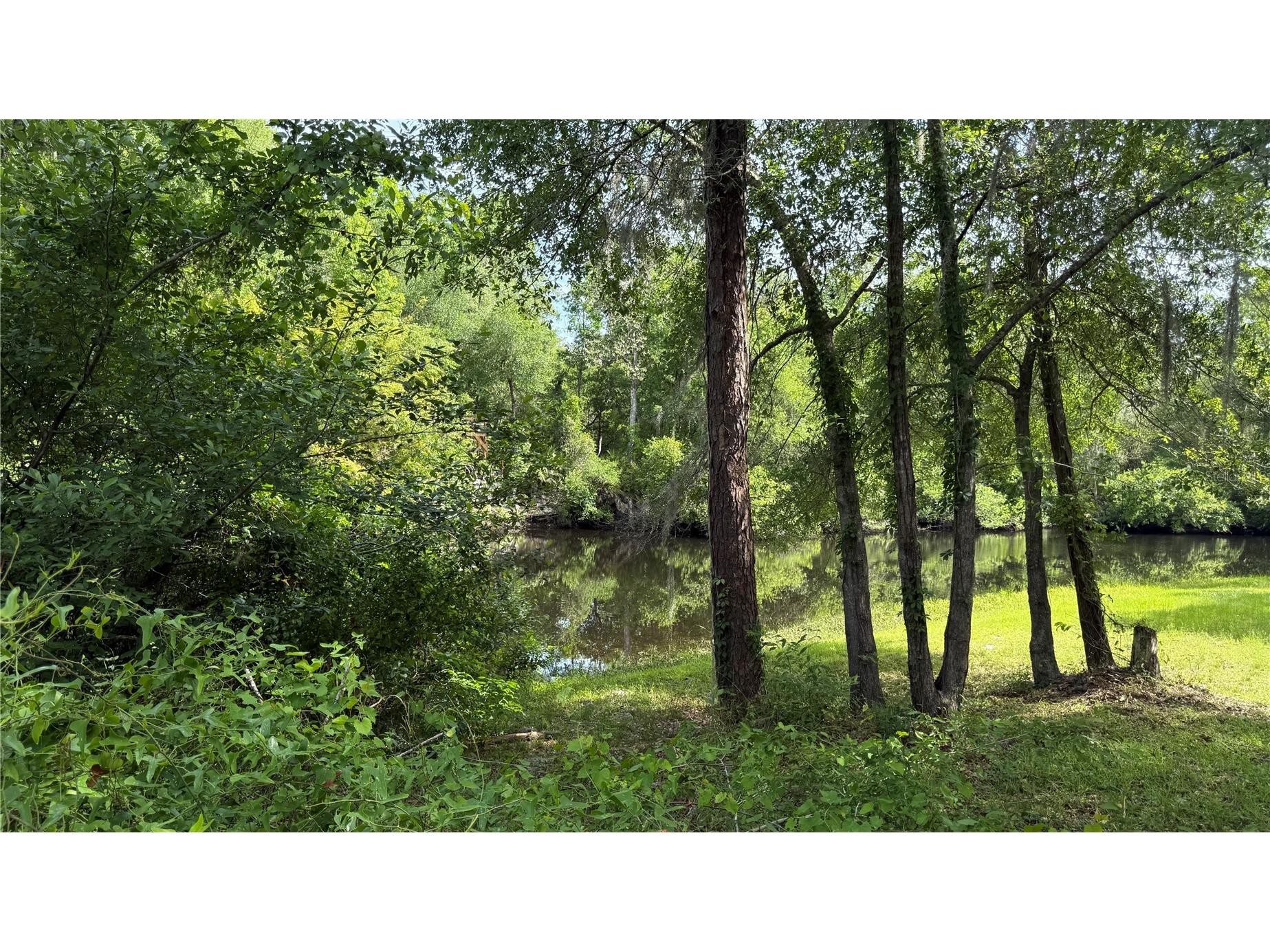 2905 Creek Street Middleburg FL 32068 - Black Creek FC318365 image15