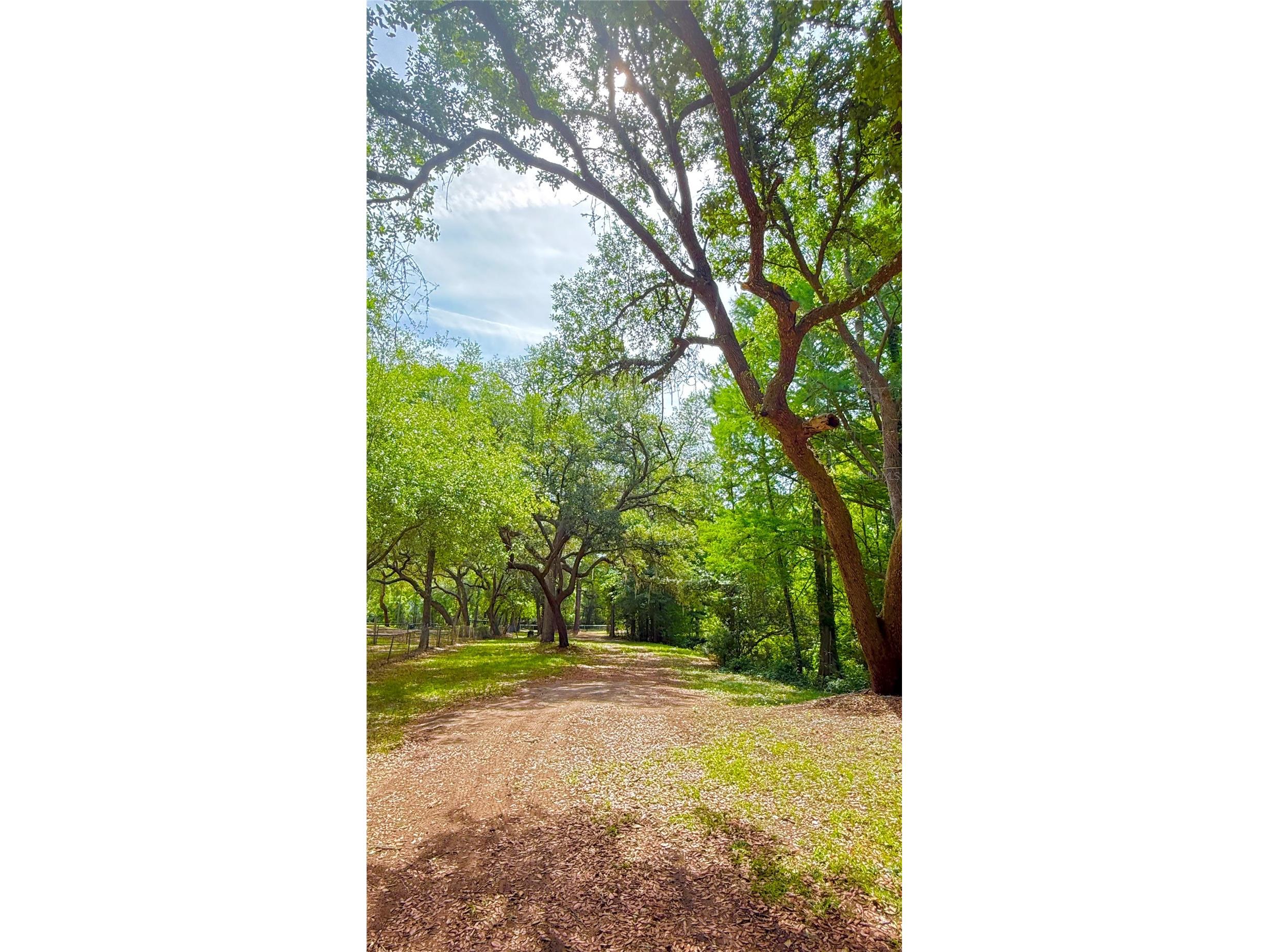2905 Creek Street Middleburg FL 32068 - Black Creek FC318365 image18