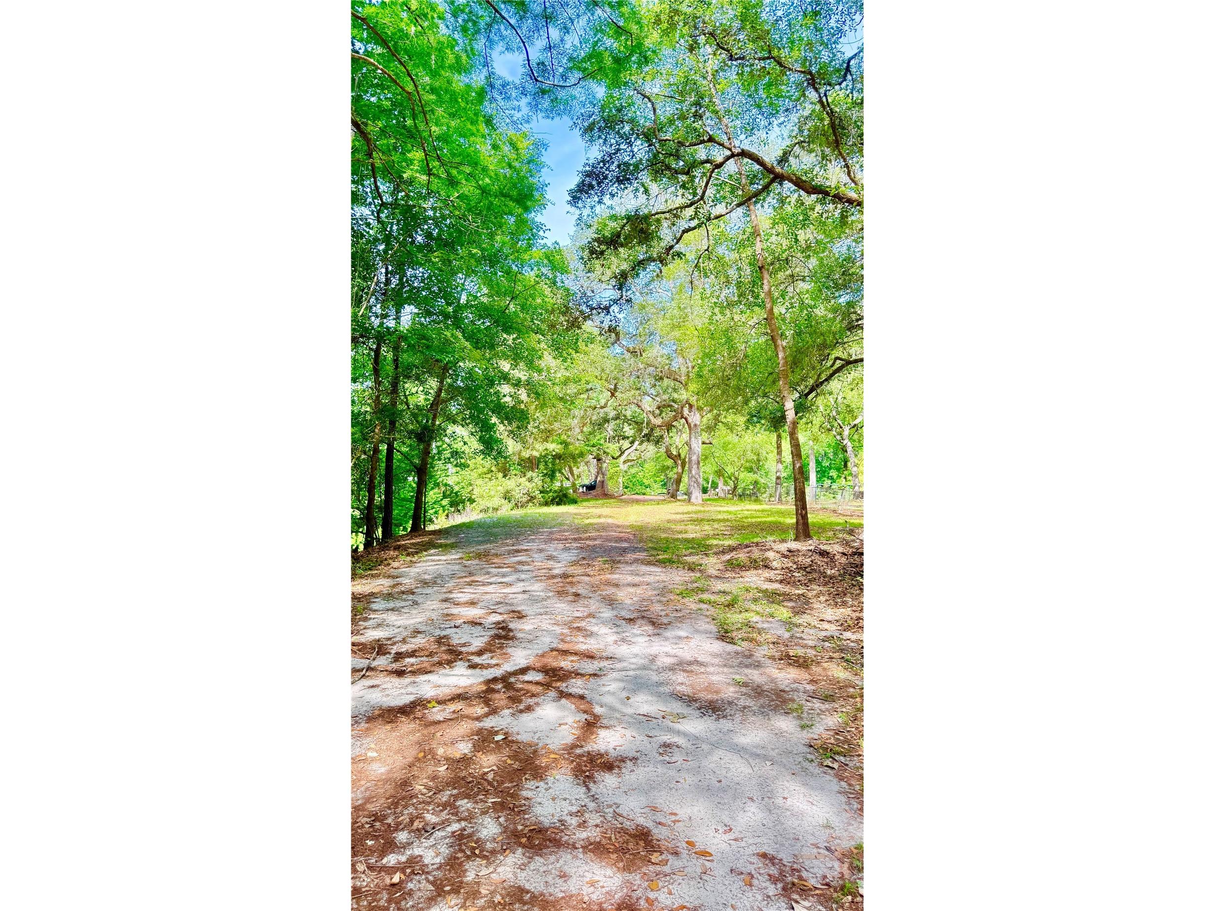 2905 Creek Street Middleburg FL 32068 - Black Creek FC318365 image21